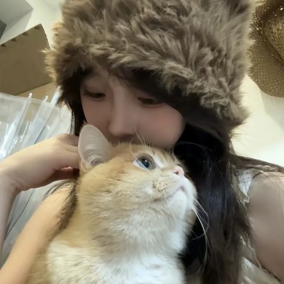 蜂蜜与四叶草
